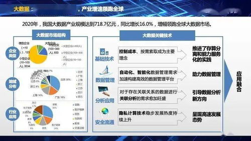 《2021中國互聯(lián)網(wǎng)發(fā)展報(bào)告》發(fā)布 互聯(lián)網(wǎng)數(shù)據(jù)服務(wù)迎來新機(jī)遇