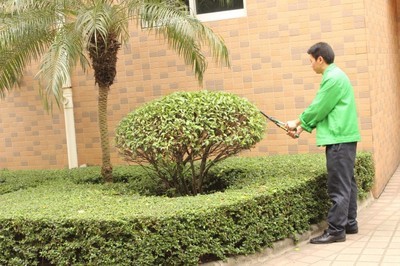 廠企保潔服務，專業(yè)清潔解決方案——聚焦廣州番禺清潔公司